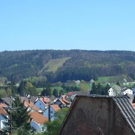 Cafe - Zum Goldenen Stern * Oberzent